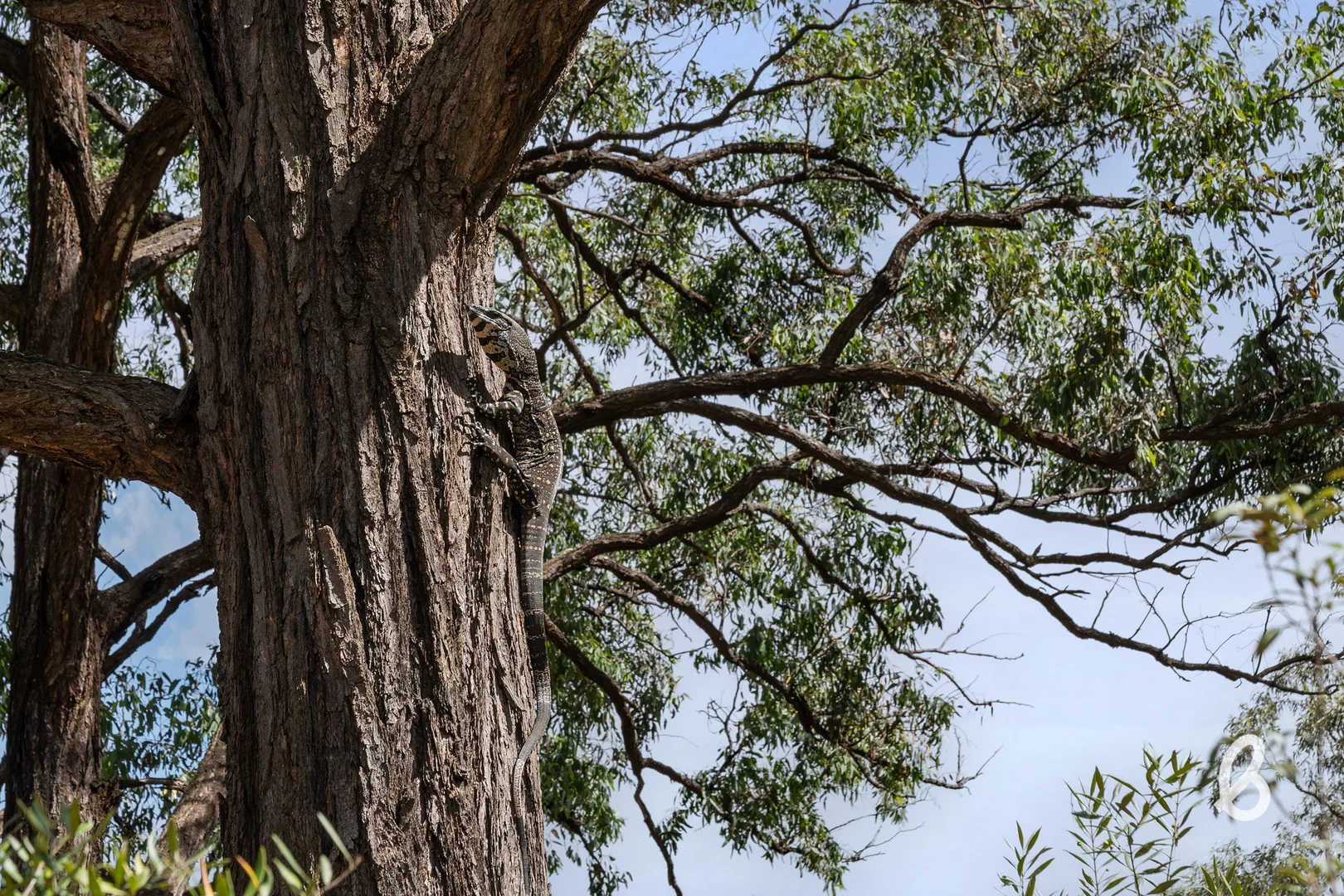 Additional image 48 of 311 Gresford Road, Singleton NSW 2330