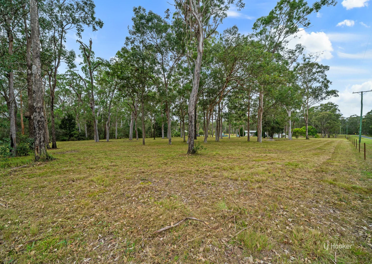 Image 15