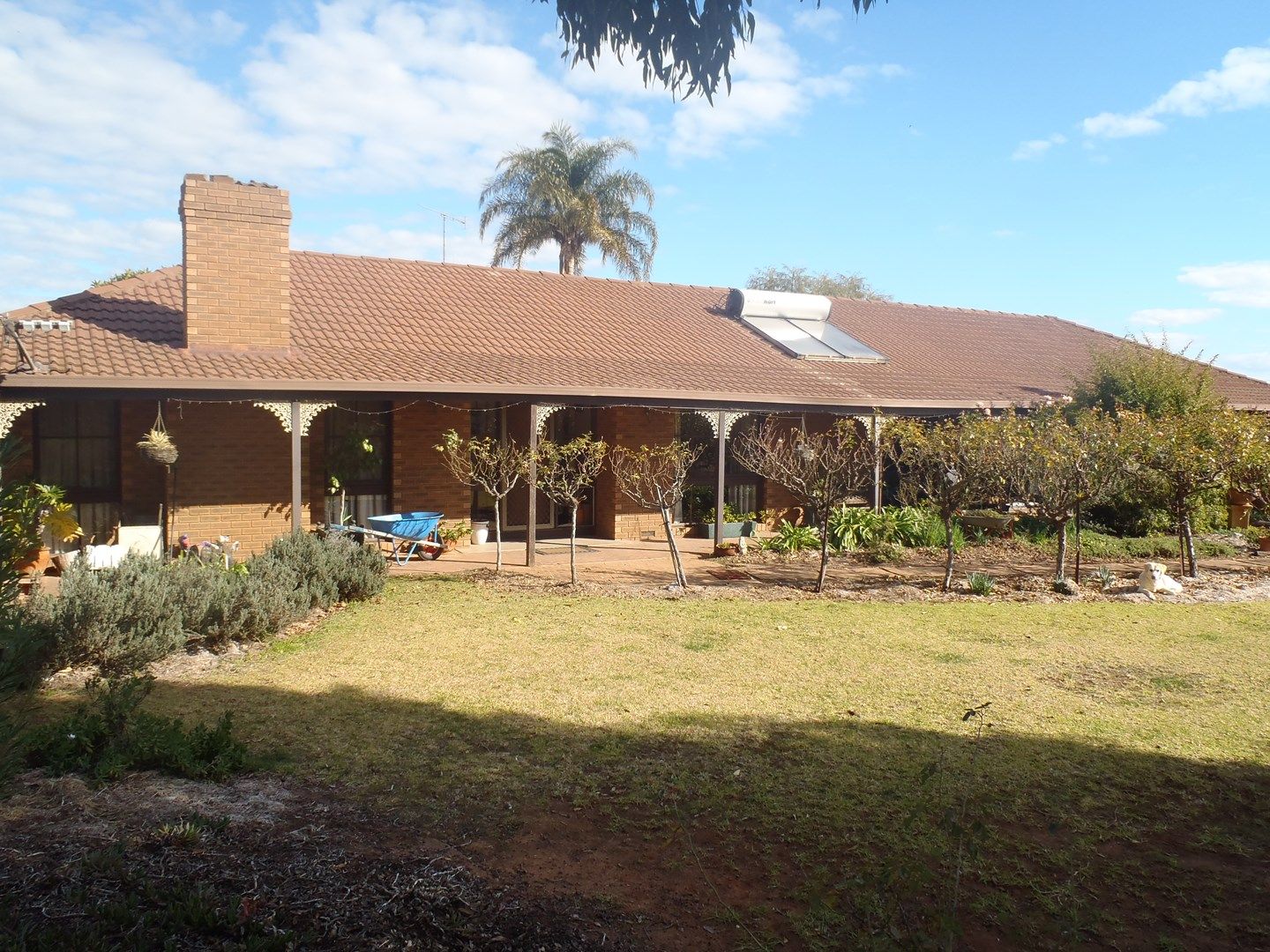 Farm 340 Garner Road, Leeton NSW 2705, Image 0