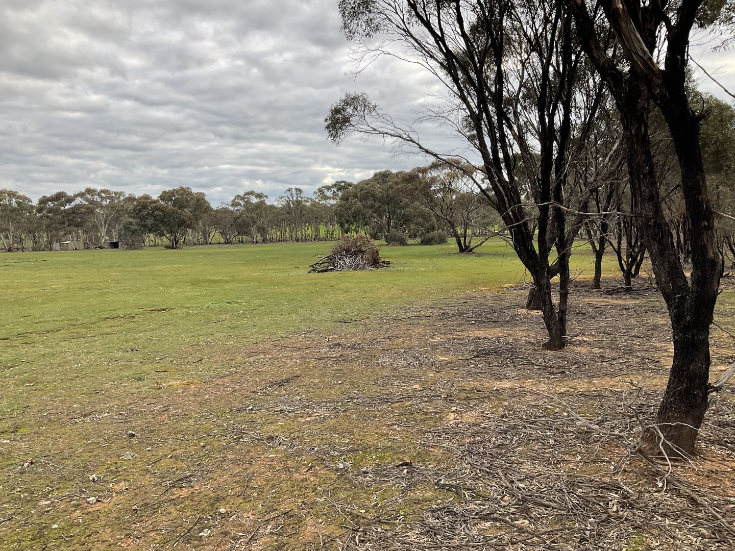 . TOMKELL ROAD, St Arnaud VIC 3478, Image 2