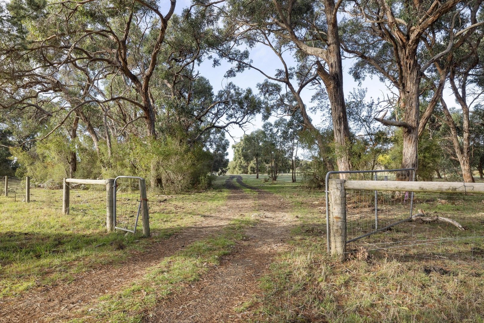 72 The Rest, French Island VIC 3921 Domain