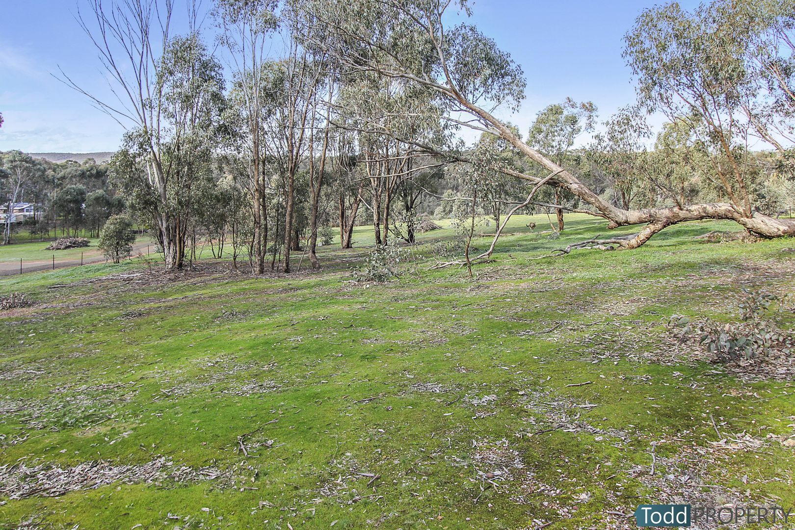 11 Warren Road, Heathcote VIC 3523, Image 2