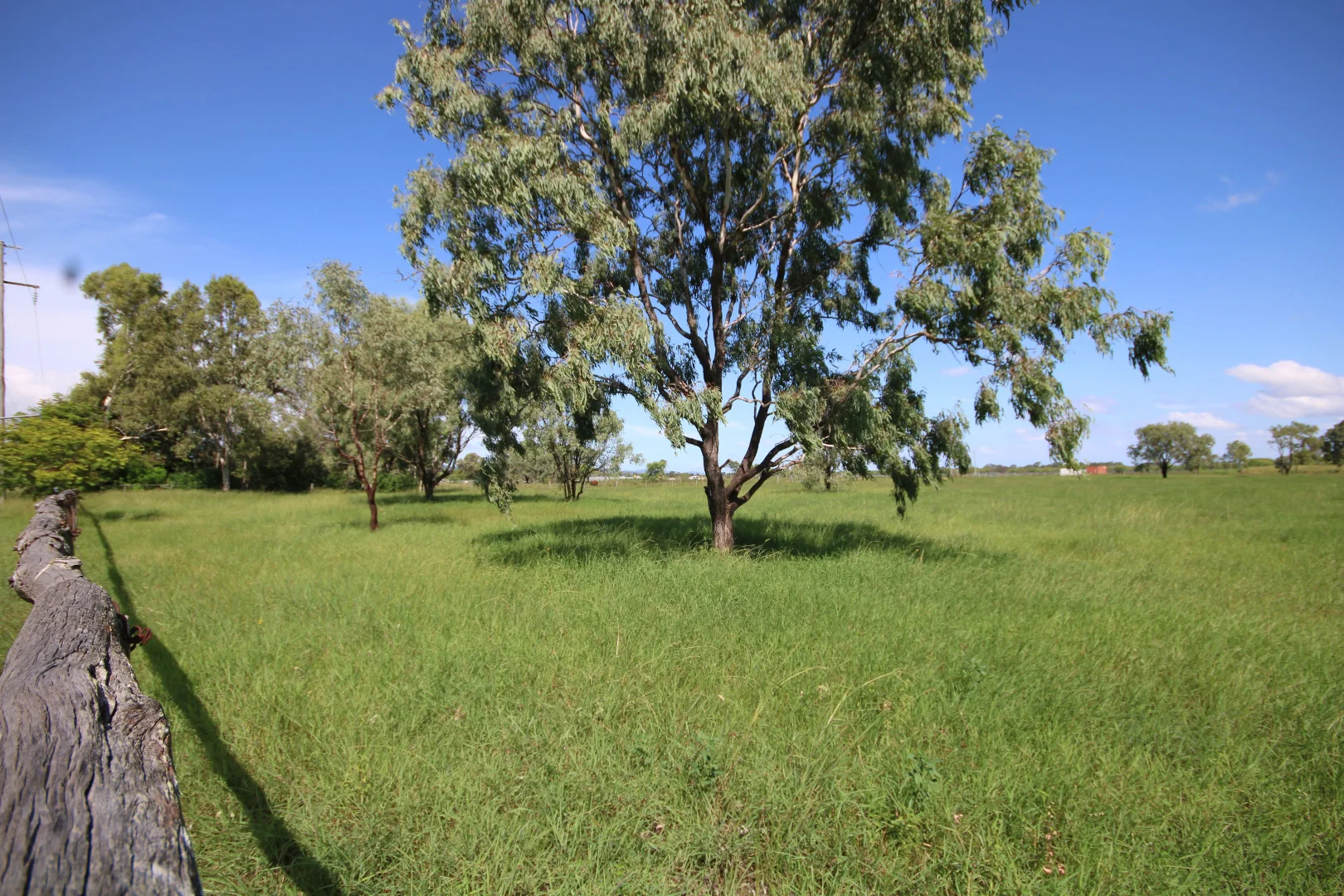 Image 25