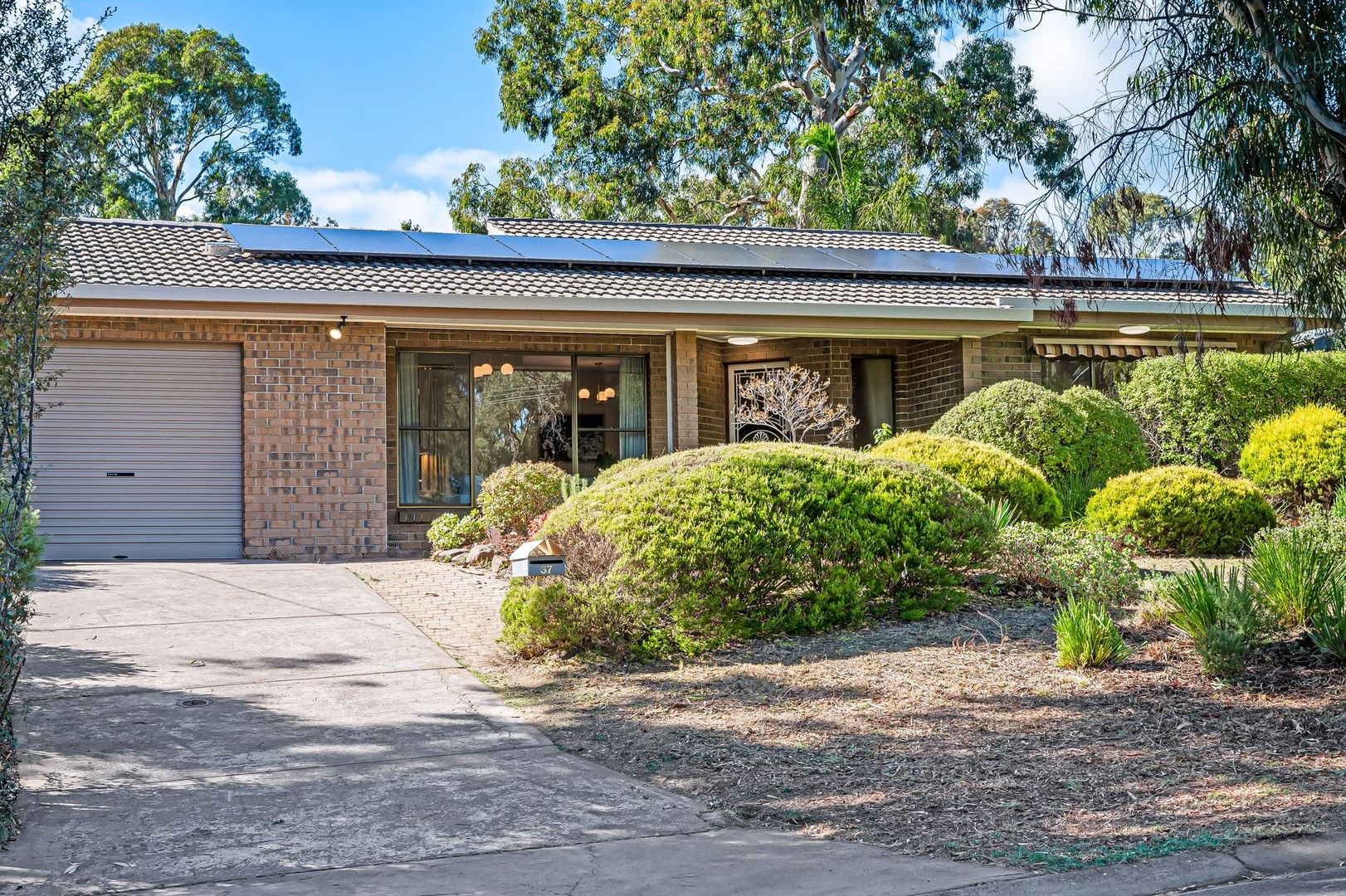 37 Wolseley Road, Blackwood SA 5051, Image 0