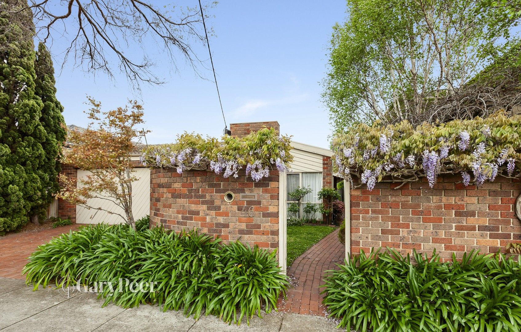 46 Rosemont Avenue, Caulfield North VIC 3161, Image 0