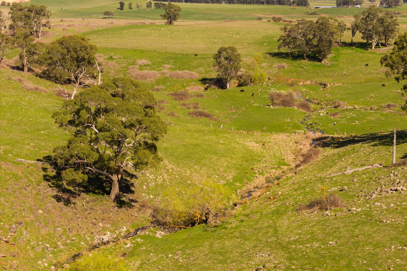 Additional image 7 of Millthorpe NSW 2798