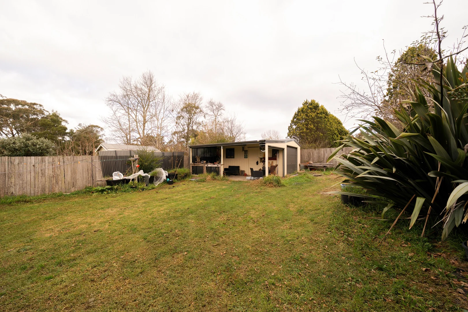 Image 13