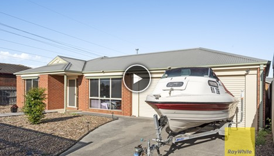 Picture of 10 Hindle street, GROVEDALE VIC 3216