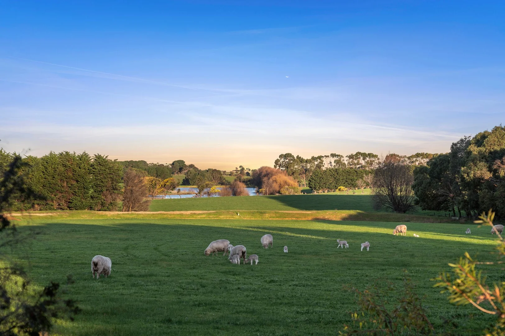 Additional image 26 of 671-719 Banks Road, Marcus Hill VIC 3222