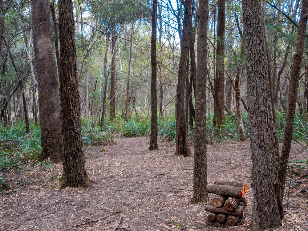 Additional image 22 of 257 Motor Road, Deviot TAS 7275