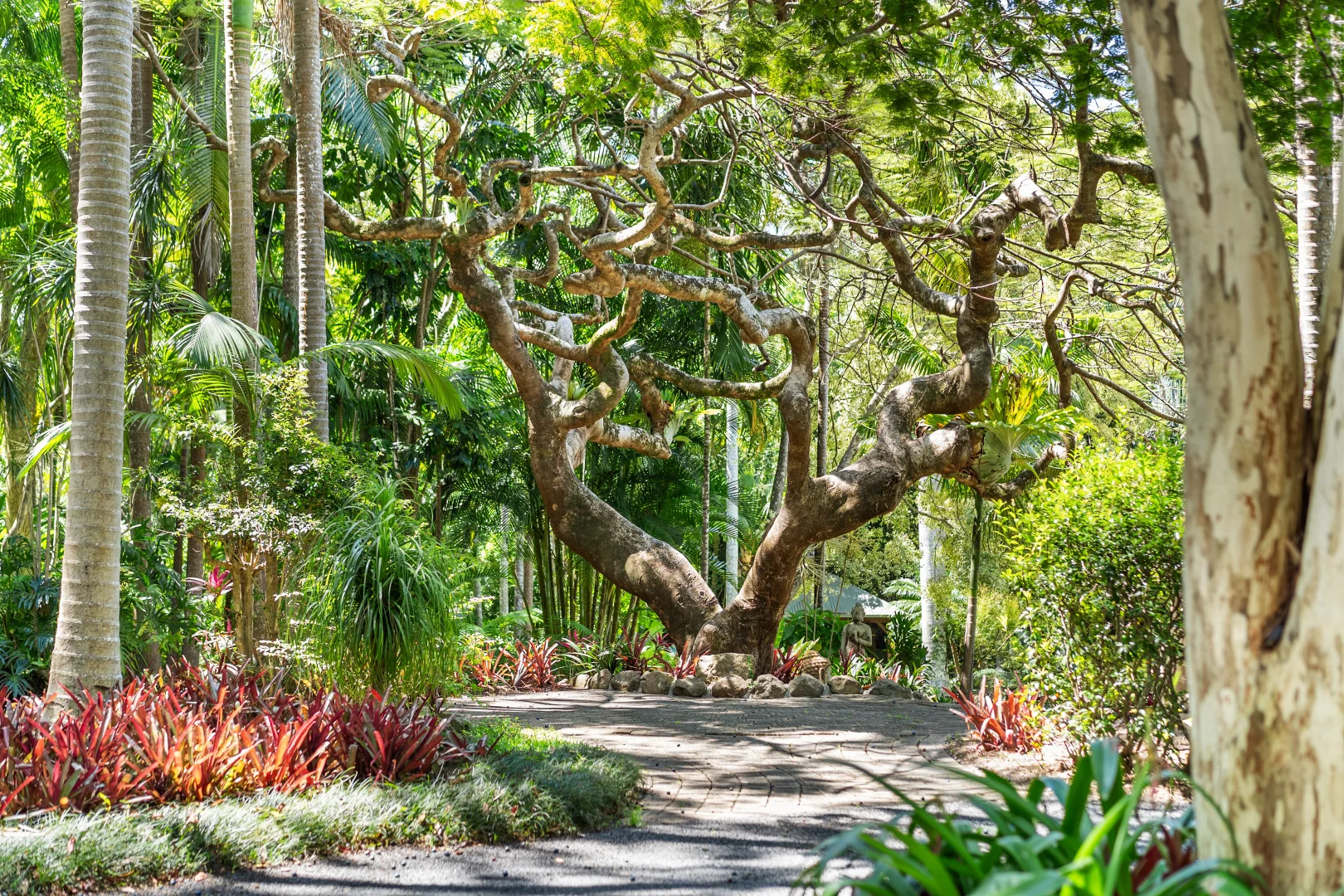 Additional image 25 of 15 & 39 Middle Pocket Road, Middle Pocket NSW 2483