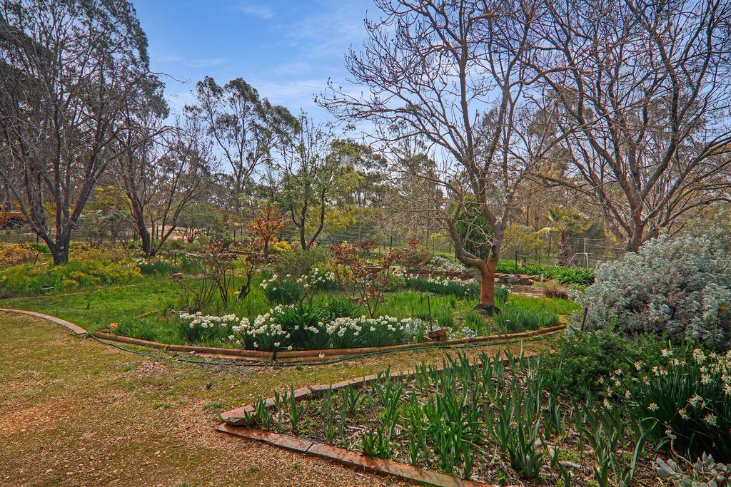 Centre Road, Carapooee West VIC 3477 - House for Sale | Domain