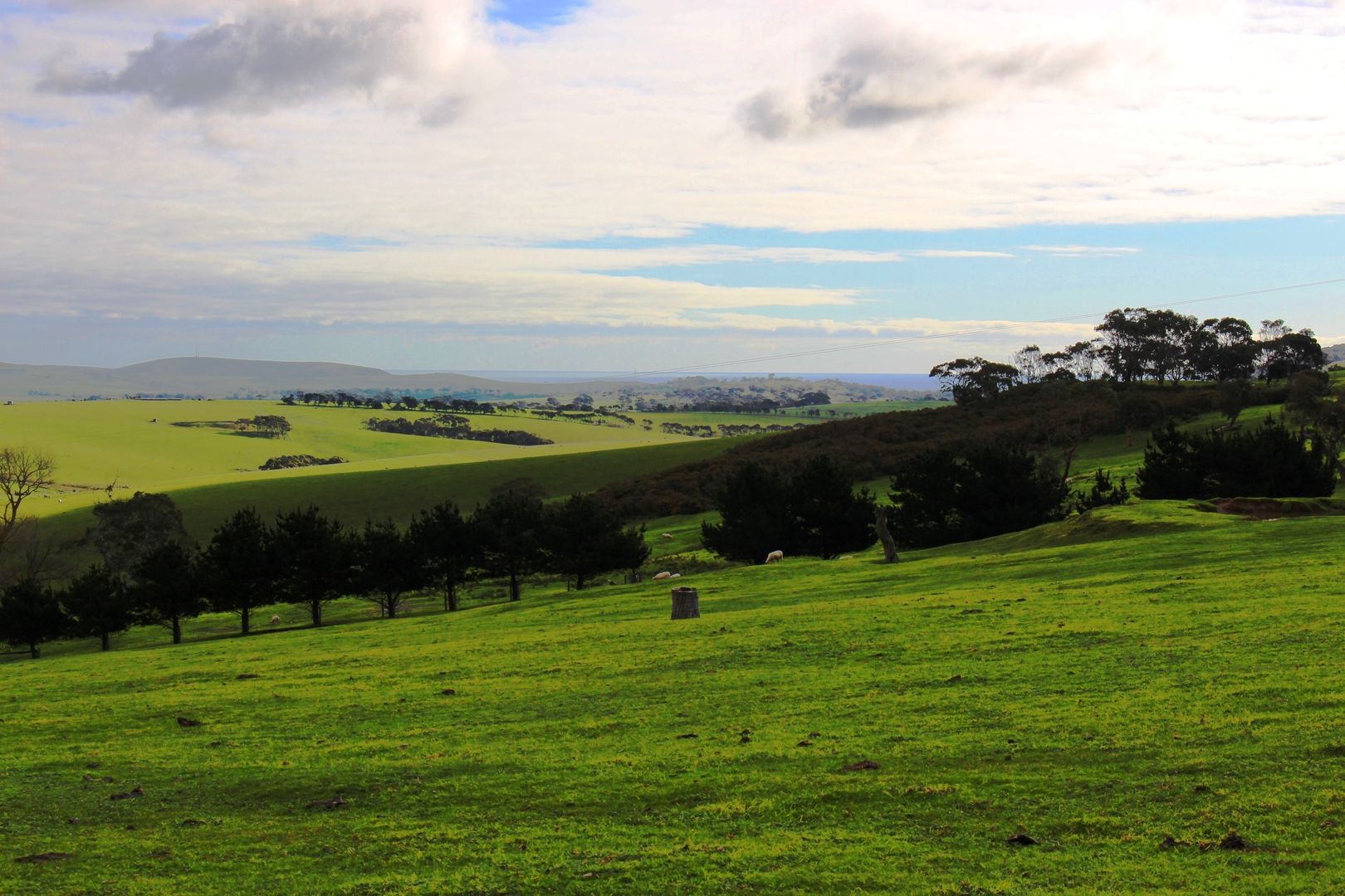 A9 Bald Hills Road, Bald Hills SA 5203, Image 2