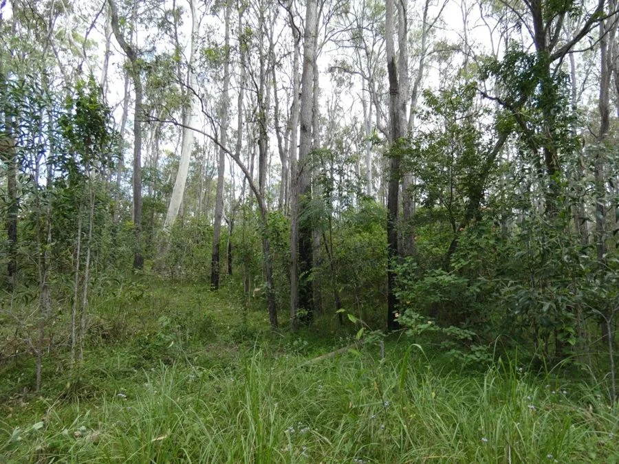 Image 29