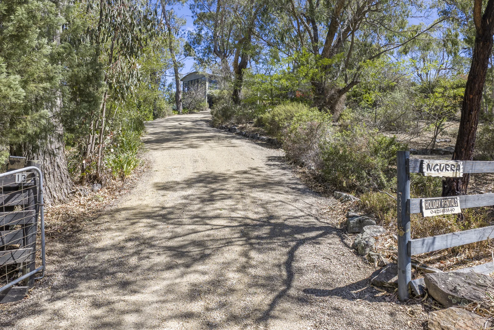 Image 15
