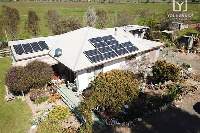 Picture of 295 Brewer Rd, COOMA VIC 3616