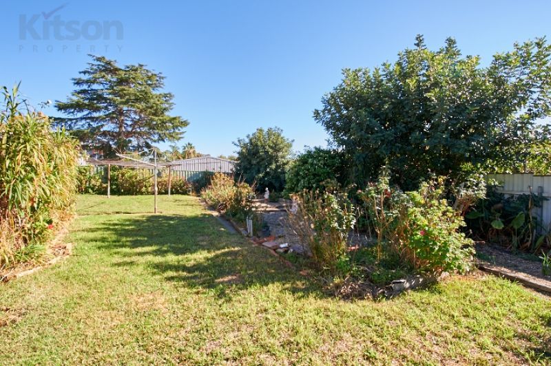 15 Alexander Street, Ashmont NSW 2650, Image 1