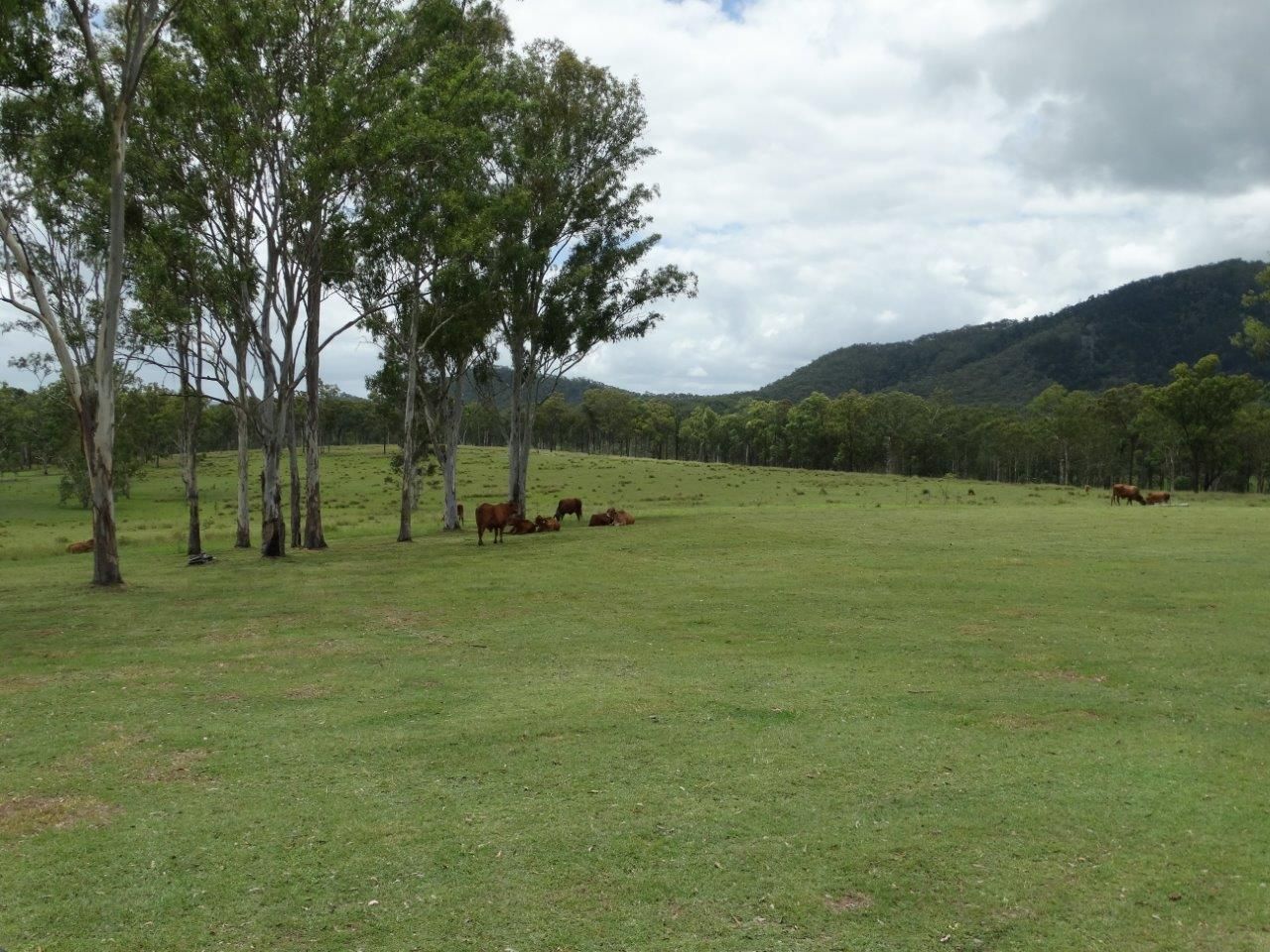 Lot 80 Kiora Road, Miriam Vale QLD 4677, Image 1