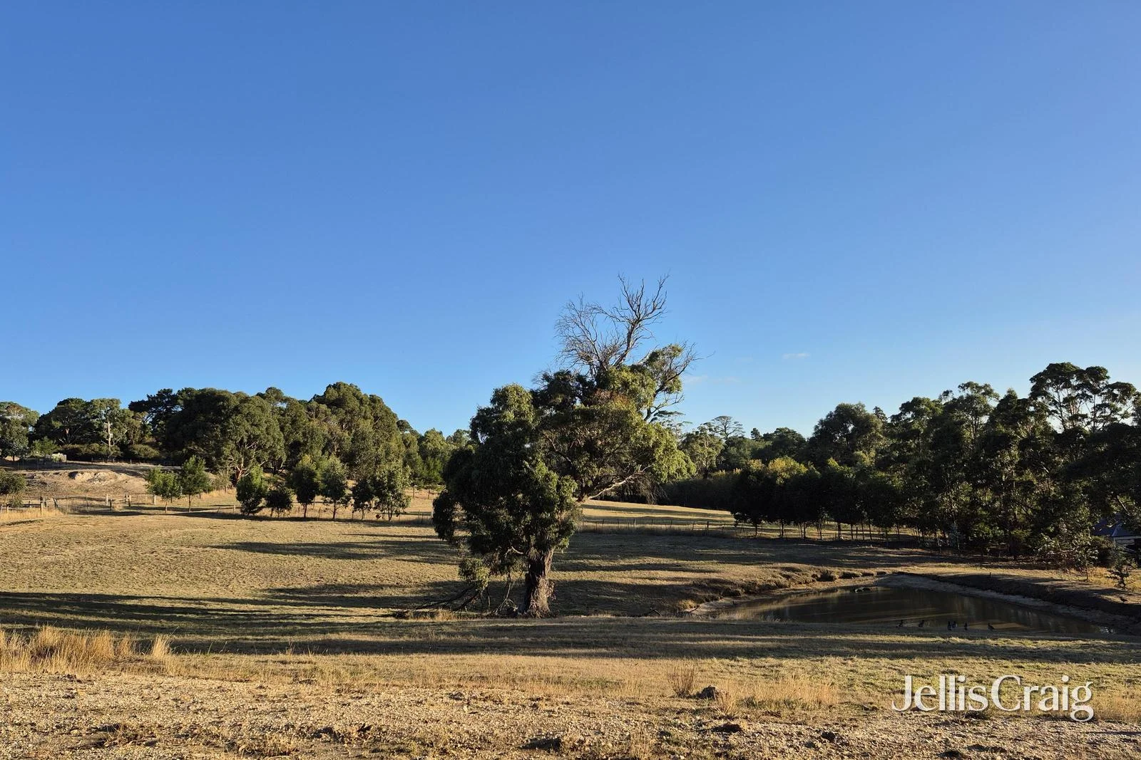 Additional image 6 of Lot 1/4 Blackberry Lane West, Buninyong VIC 3357