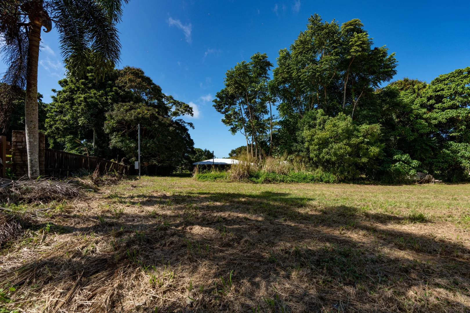 Image 13
