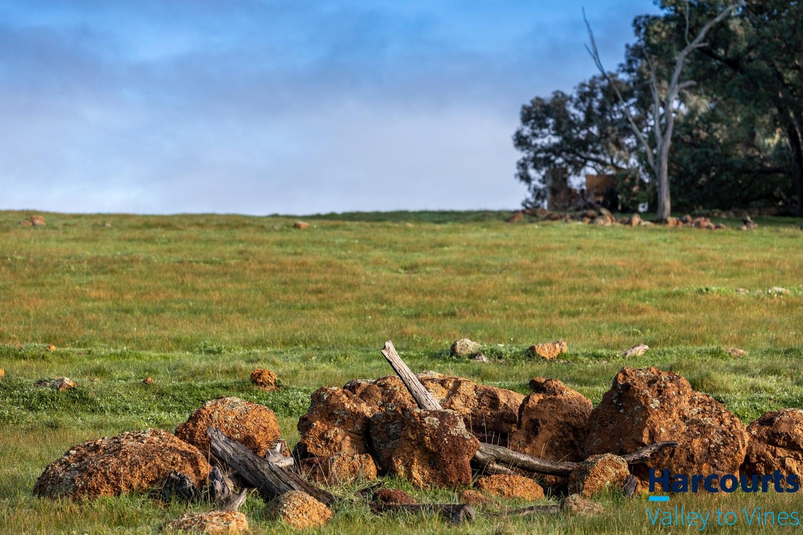 Lot 640 McGlew Road, Lower Chittering WA 6084 Domain