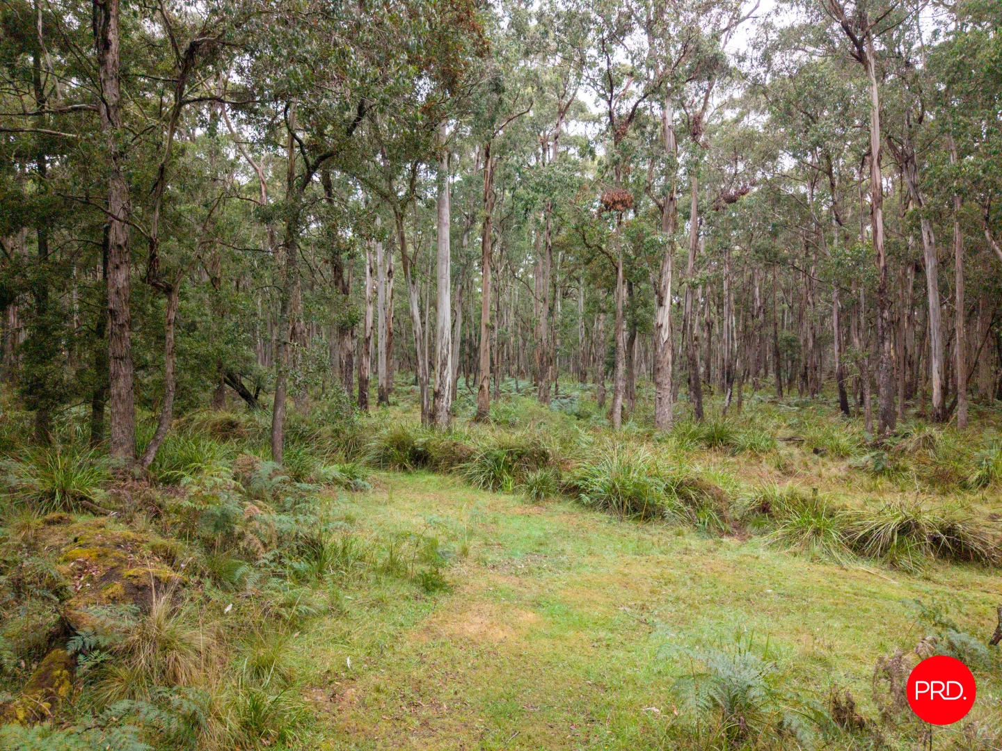 Image 34