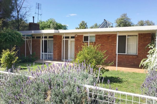 Picture of 139 Temoin St, NARROMINE NSW 2821