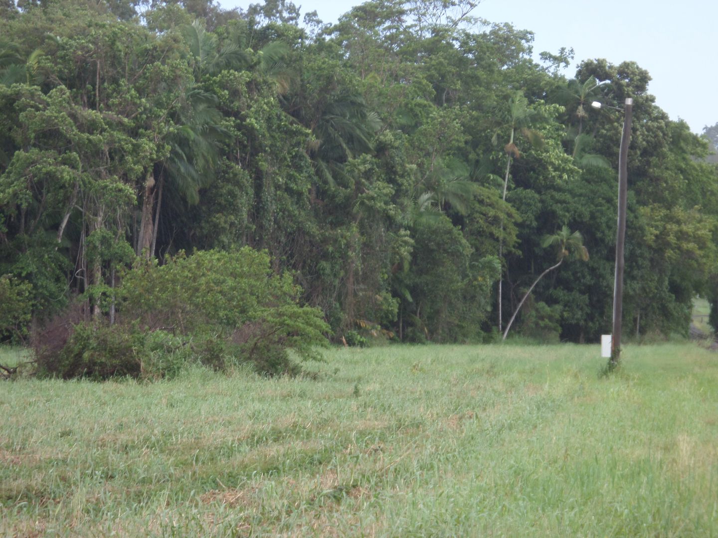 Yakapari-Habana Road, Habana QLD 4740, Image 1