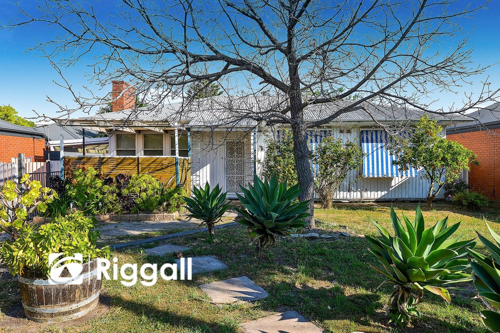 5 Browning Street, Clearview SA 5085 House For Rent Domain