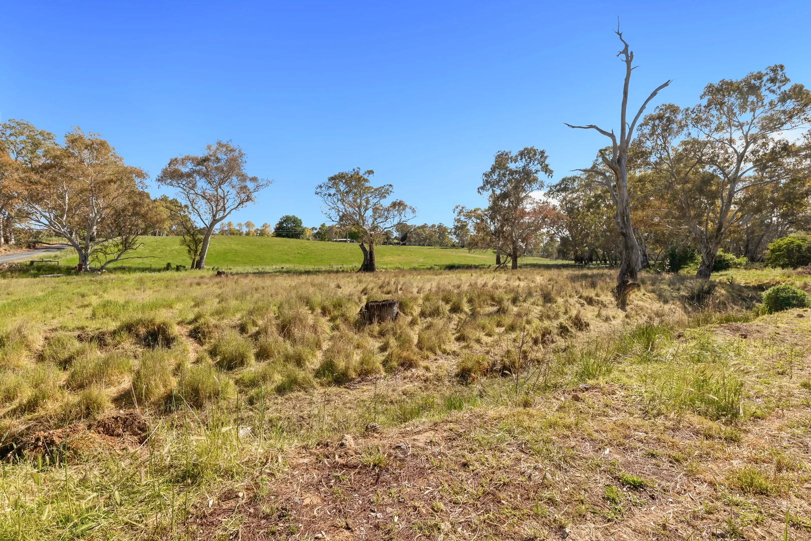 Additional image 18 of 873 Watts Gully Road, Forreston SA 5233