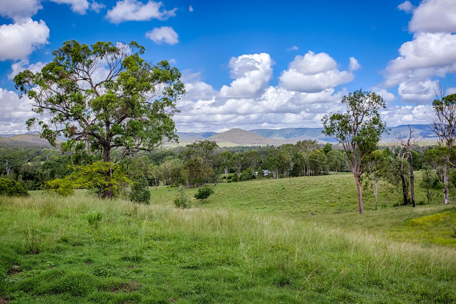 79 Barrett Road, Widgee QLD 4570, Image 2