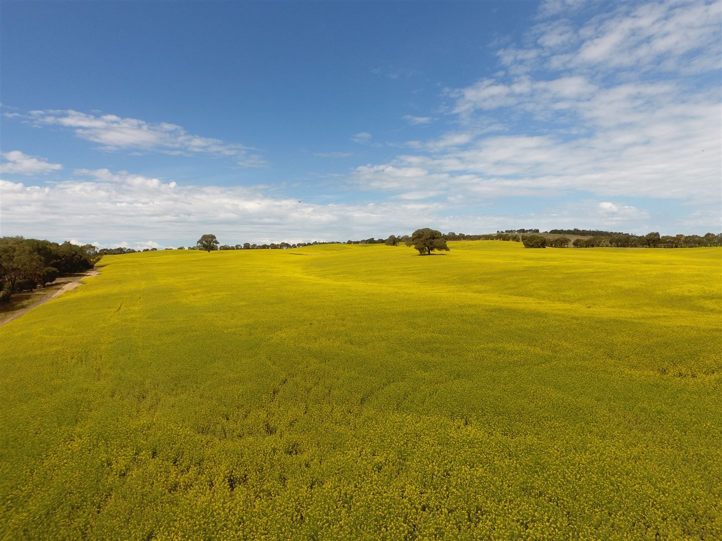 . Hyde Park Browns Road & Sunraysia Highway, Lexton VIC 3352, Image 2