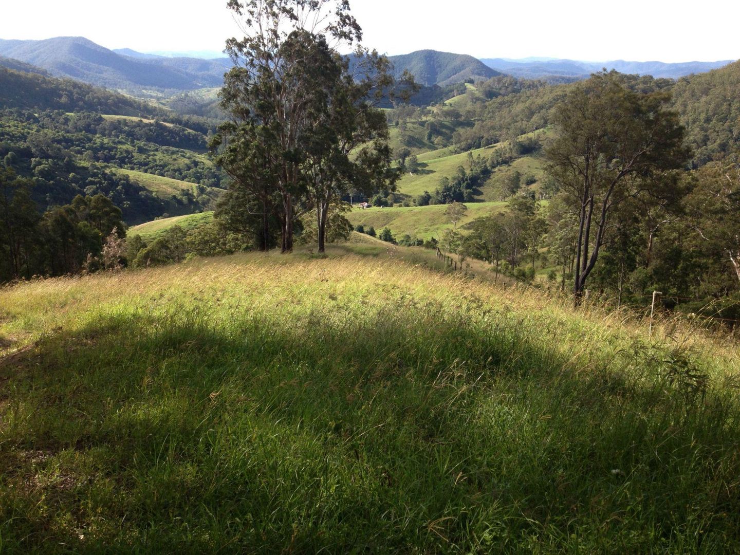 Lot 169 Innes View Road, Comboyne NSW 2429, Image 2