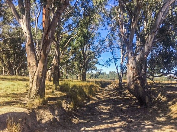 Tabilk-Monea Road, Avenel VIC 3664, Image 1