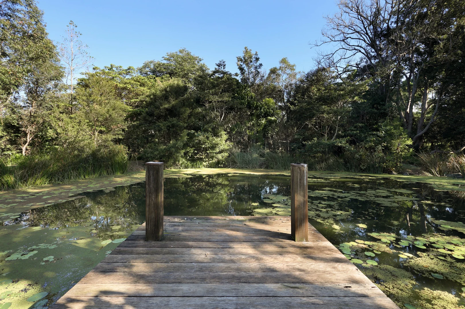 Additional image 32 of Cooroy Mountain QLD 4563