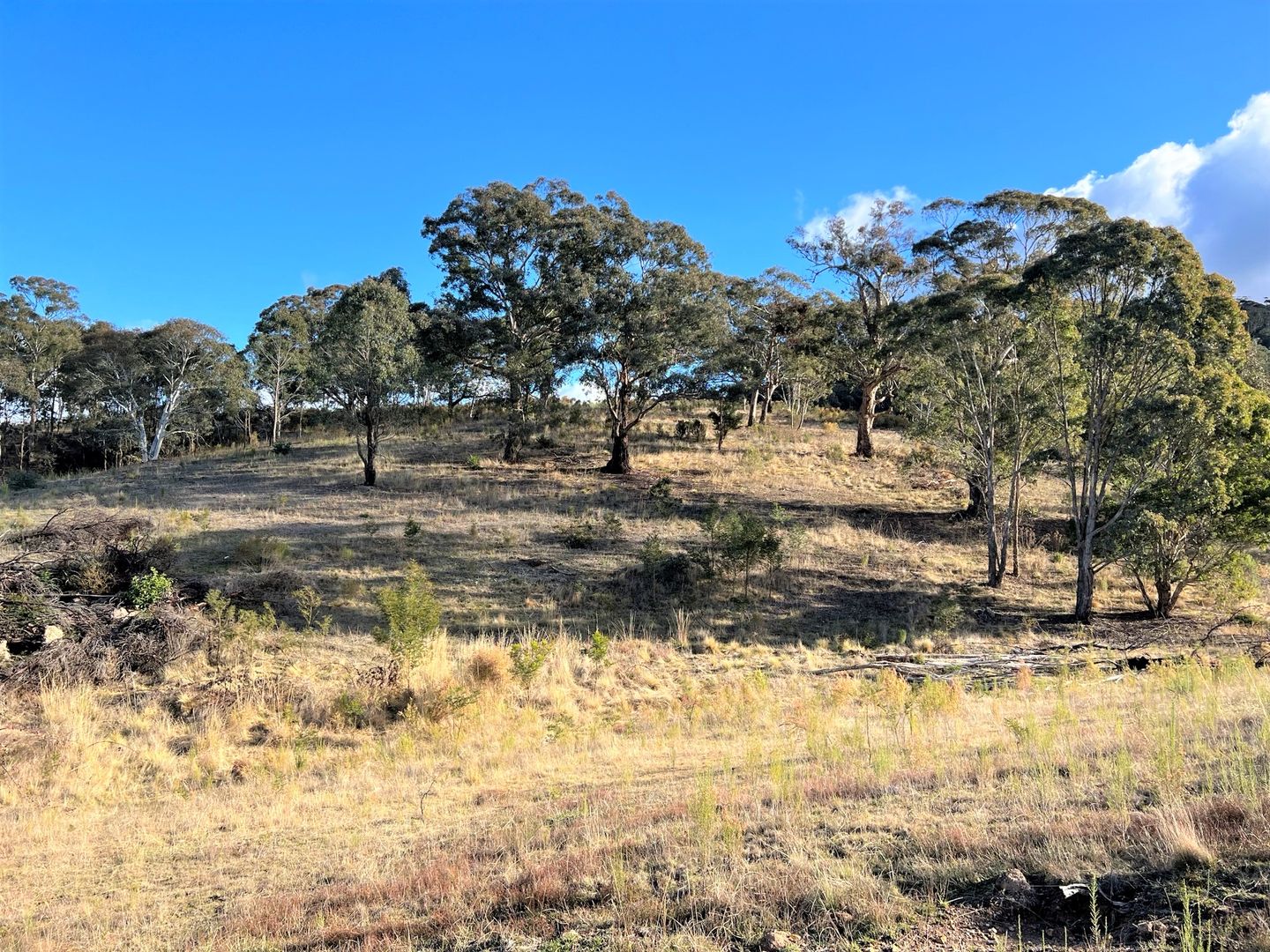 Lot 188 Marble Hill Road, Goulburn NSW 2580, Image 2