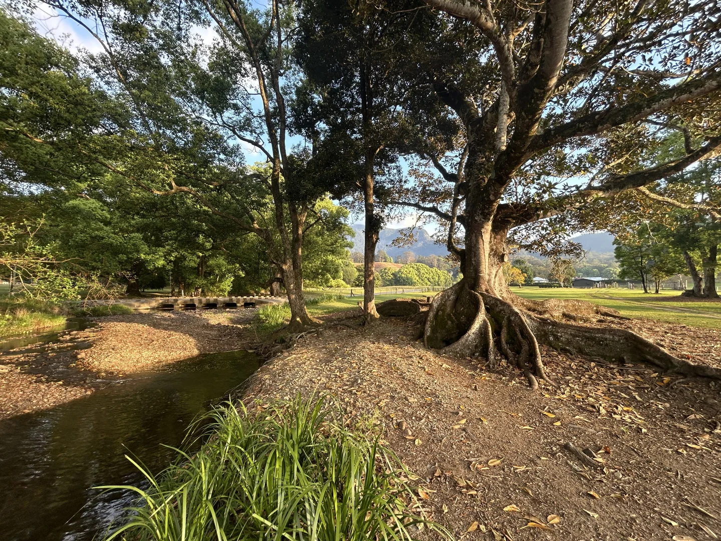 Additional image 14 of 530-542 Upper Crystal Creek Road, Upper Crystal Creek NSW 2484