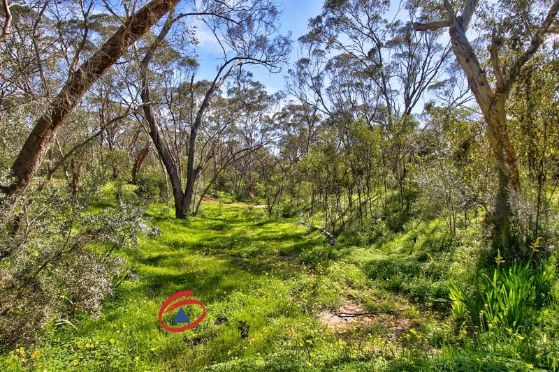 Lot 189 Krieg Road, LYNDOCH SA 5351, Image 2