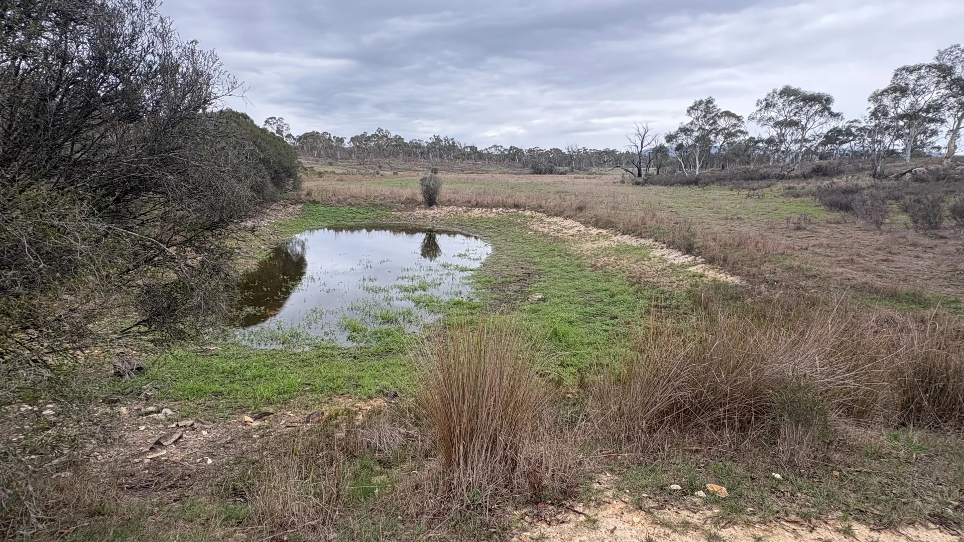 Additional image 8 of 111 Farringdon Road, Braidwood NSW 2622