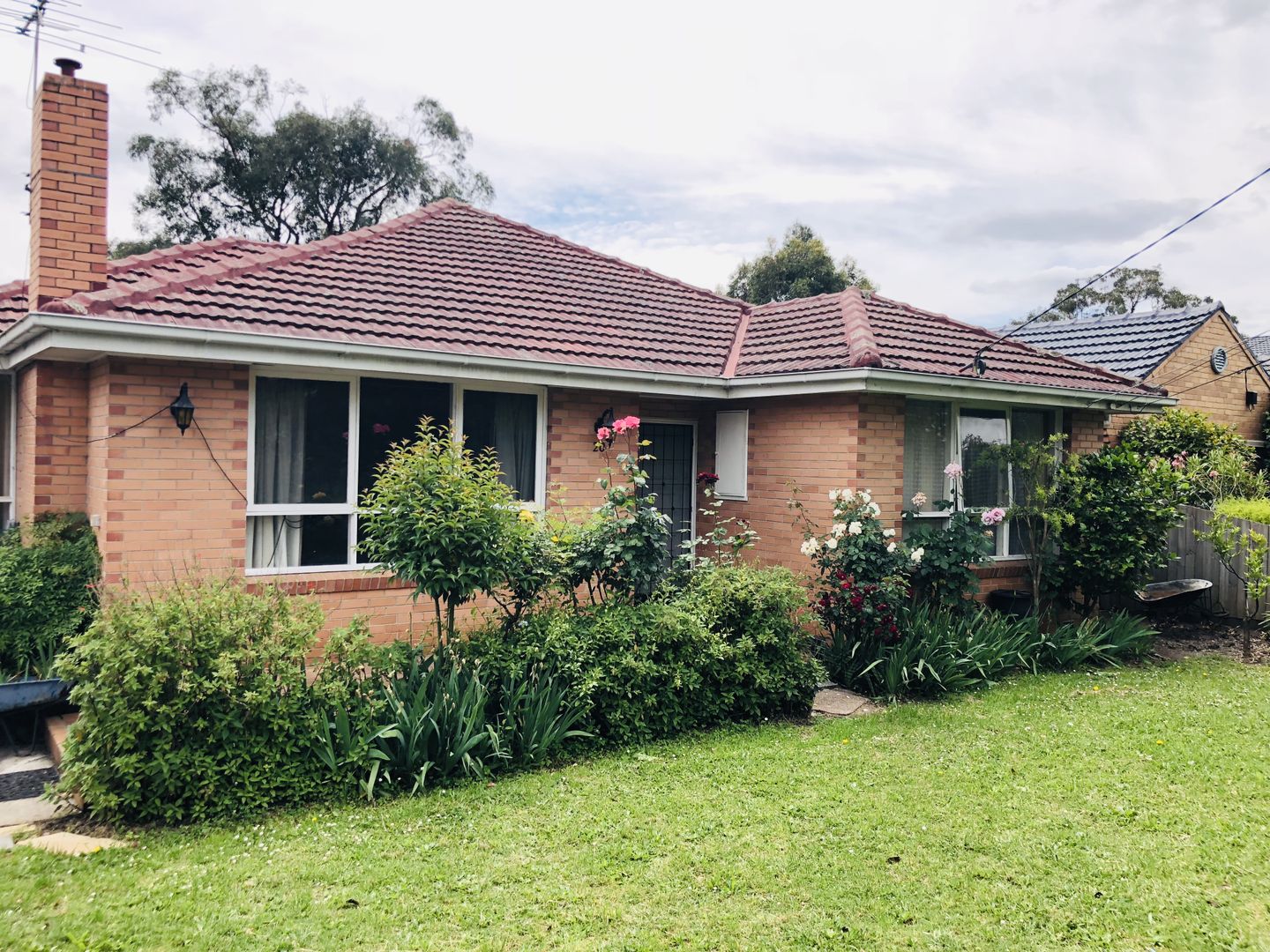 20 Jackson Street, Forest Hill VIC 3131 - House For Rent ...