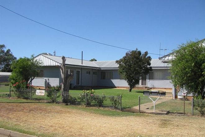 Picture of WARREN NSW 2824