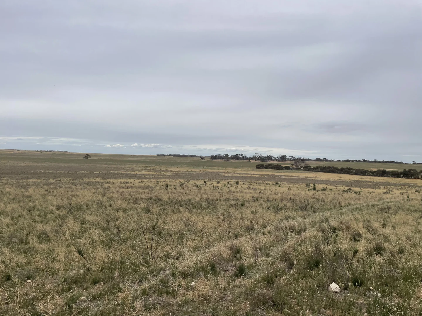 Image 14