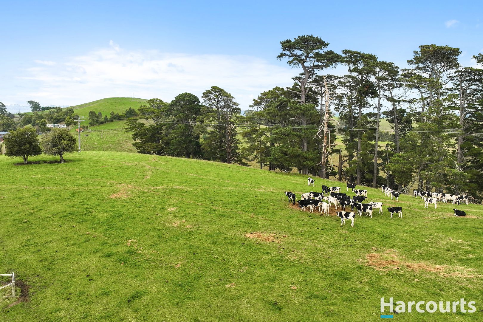 Lot 1 Mountain View-McDonalds Track, Mountain View VIC 3988, Image 1