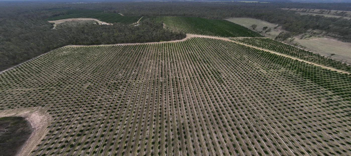 Additional image 5 of Bucca QLD 4670