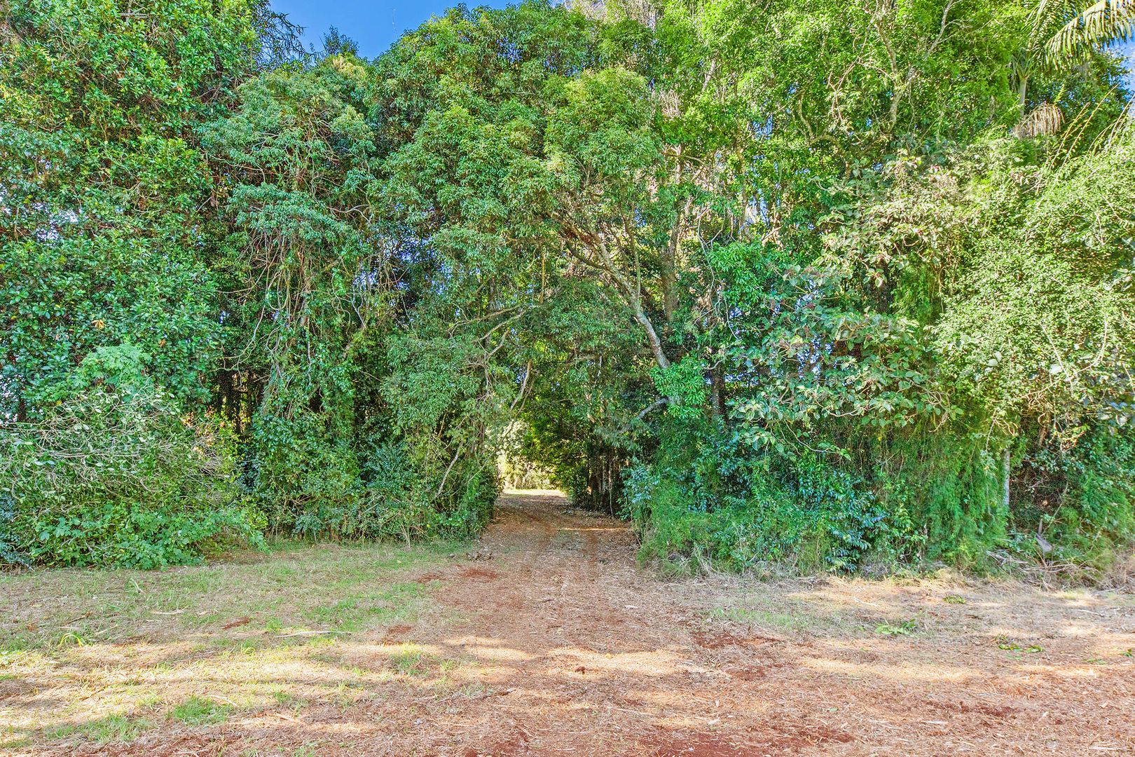 1C Esme Street, Tamborine Mountain QLD 4272, Image 2