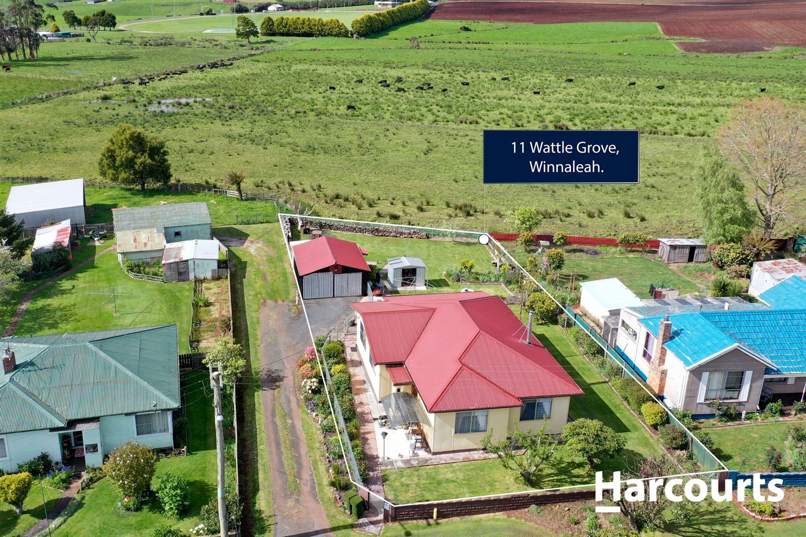 11 Wattle Grove, Winnaleah TAS 7265, Image 1