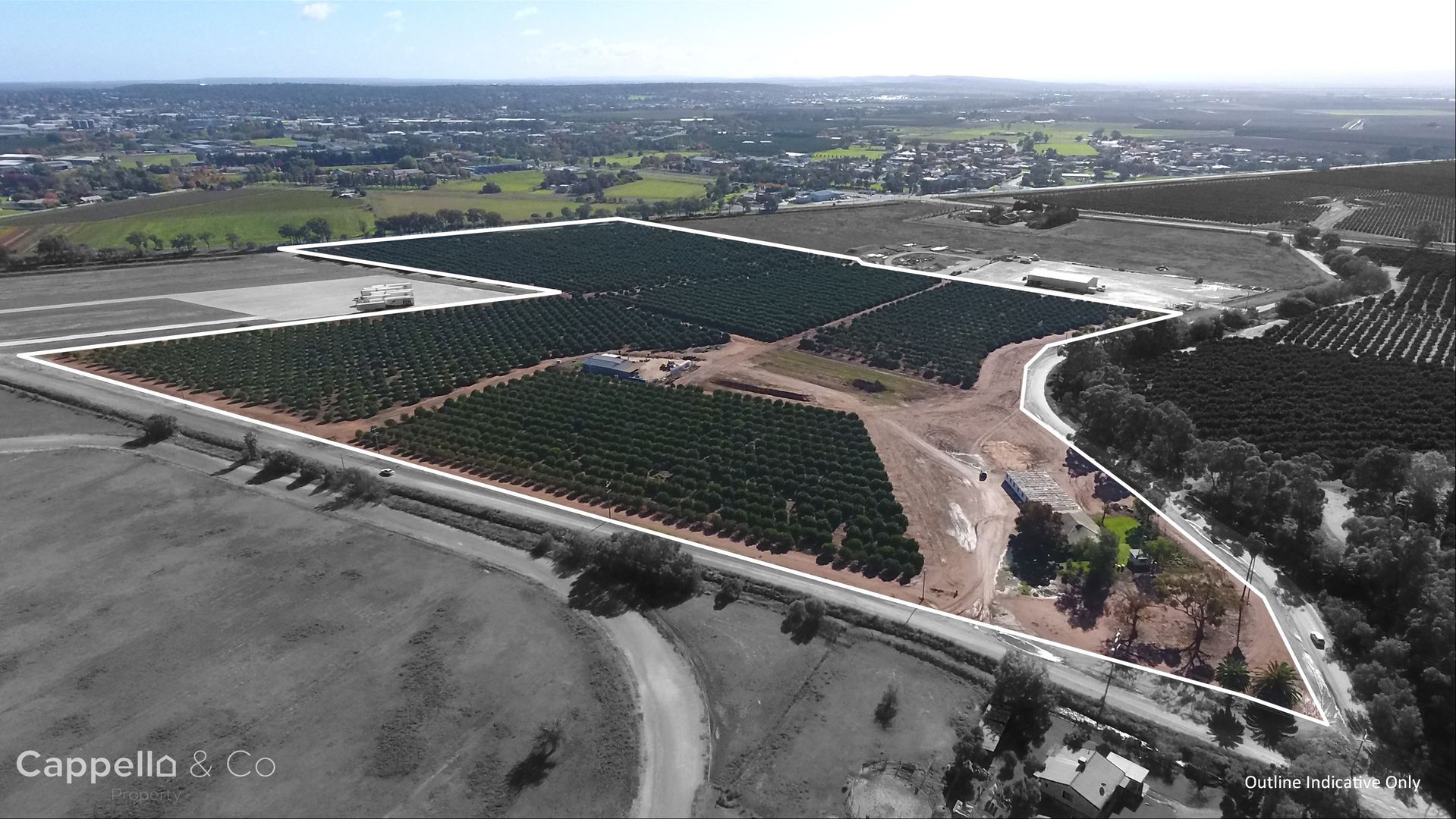 75 & 223 Morley Road, Yoogali NSW 2680 House for Sale Domain