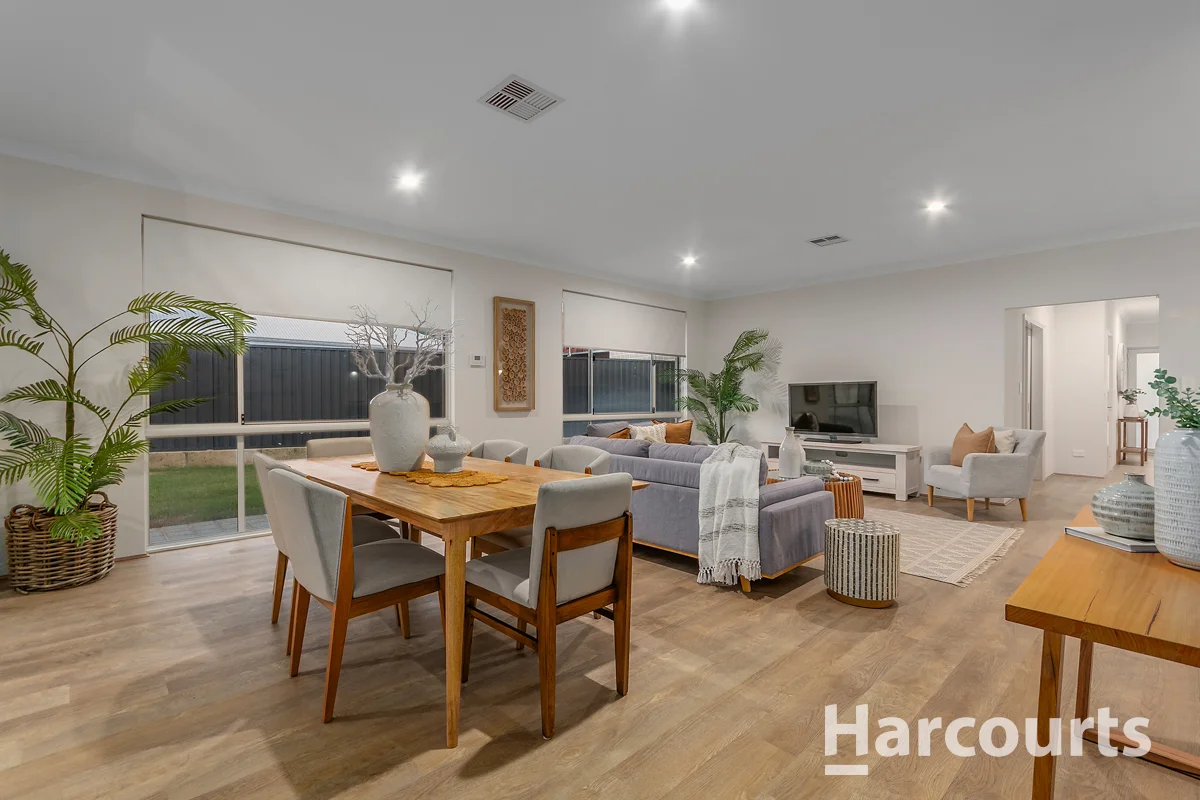 Image 14