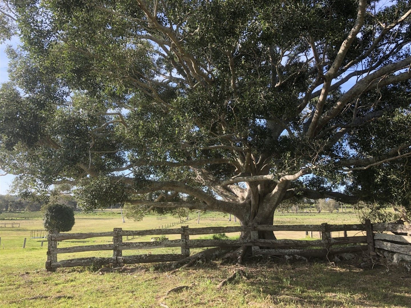 9 Kings Creek Road, Lawrence NSW 2460 Vacant Land for Sale Domain