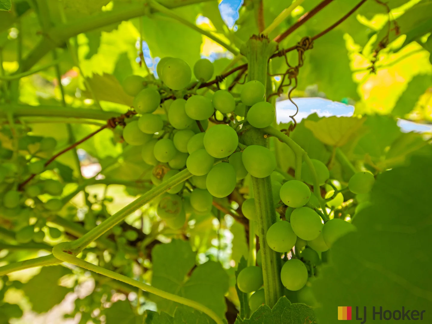 Additional image 24 of 748 The Ridge Road, Malua Bay NSW 2536